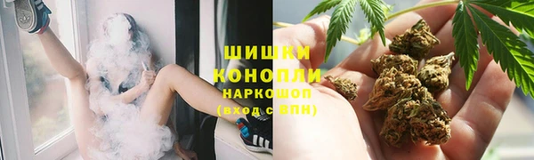 PSILOCYBIN Семёнов
