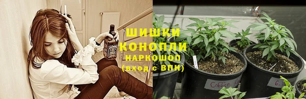 стафф Заволжск