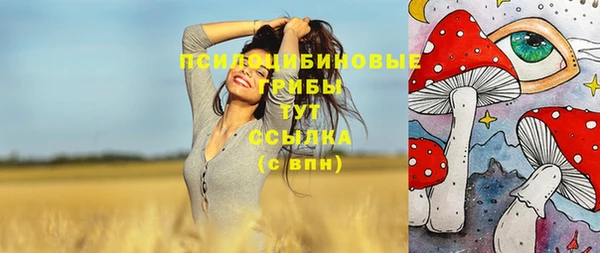 стафф Заволжск